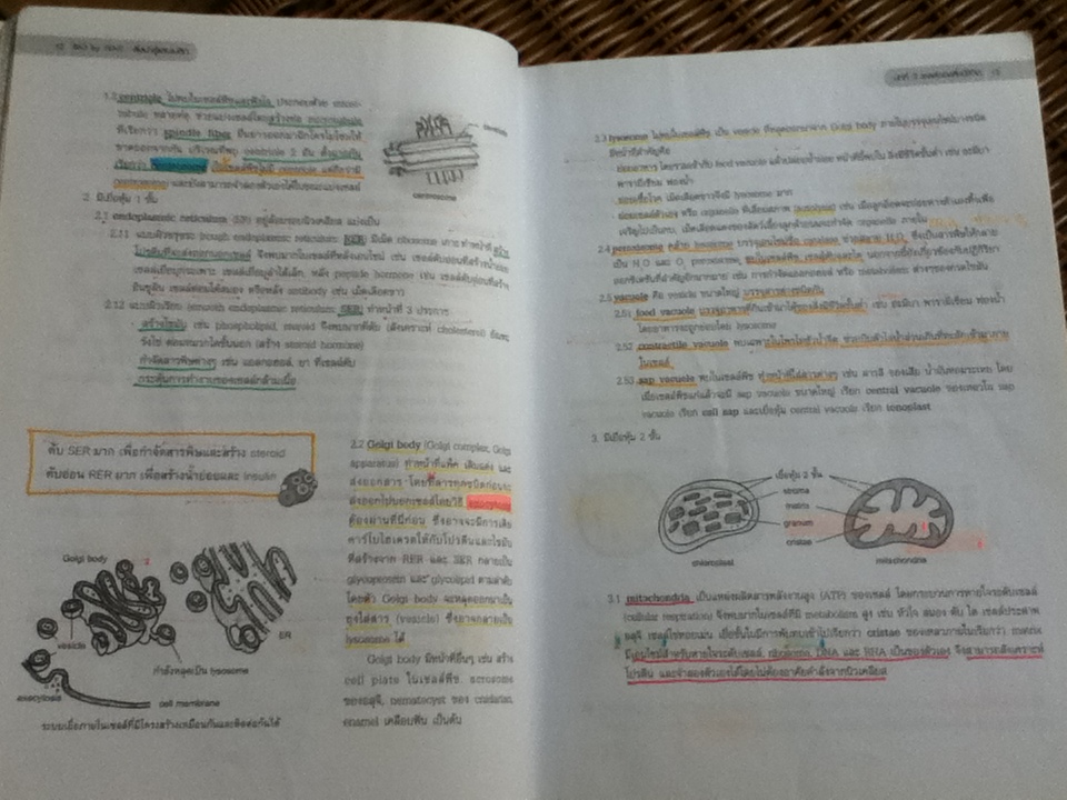 BIOLOGY ชีววิทยา สำหรับนักเรียนมัธยมปลาย/ จิรัสย์ เจนพาณิชย์