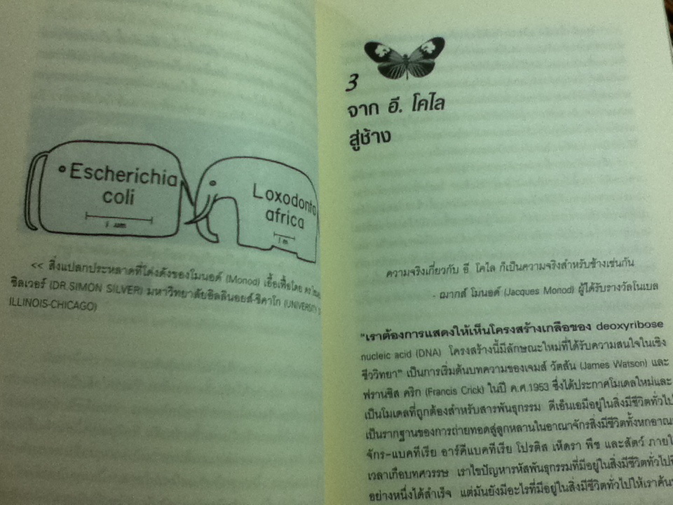 ลวดลายสีสัน มหัศจรรย์วิวัฒนาการชีวิต/ ฌอง บี แคร์รอล