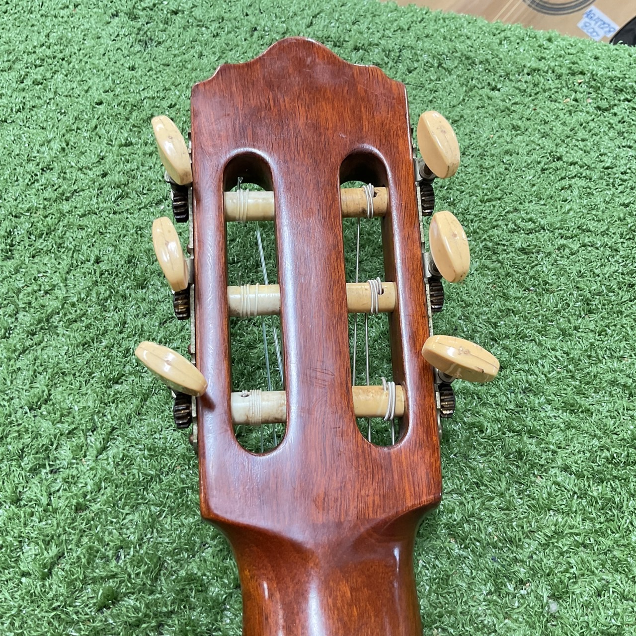 กีต้าร์คลาสสิค Abe Gut : 65F