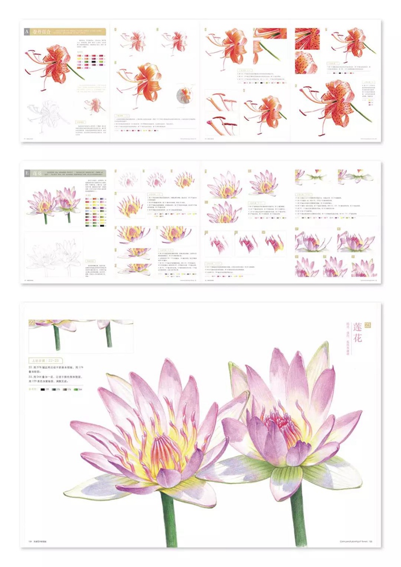 (Pre-order) หนังสือ Color pencil drawing of flowers