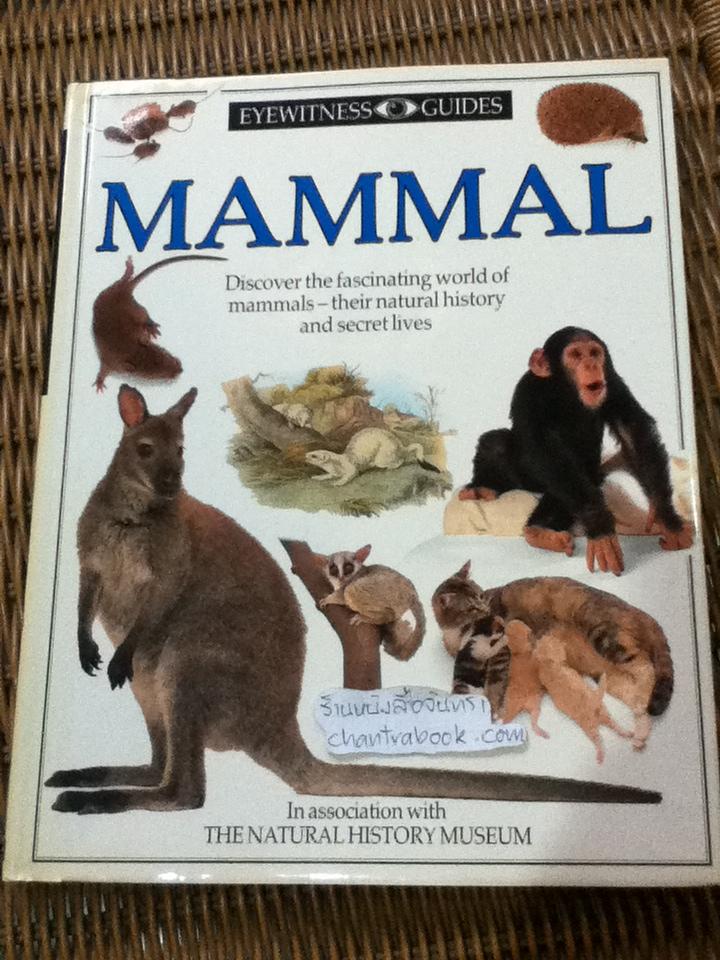 EYEWITNESS GUIDES 9 เล่ม