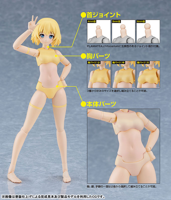 PLAMATEA Muse Body: Ichika B Type Plastic Model(Pre-order)
