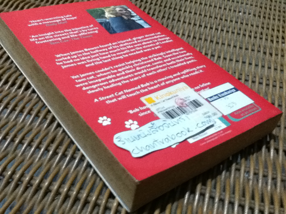 A Street Cat Named Bob/ JAMES BOWEN