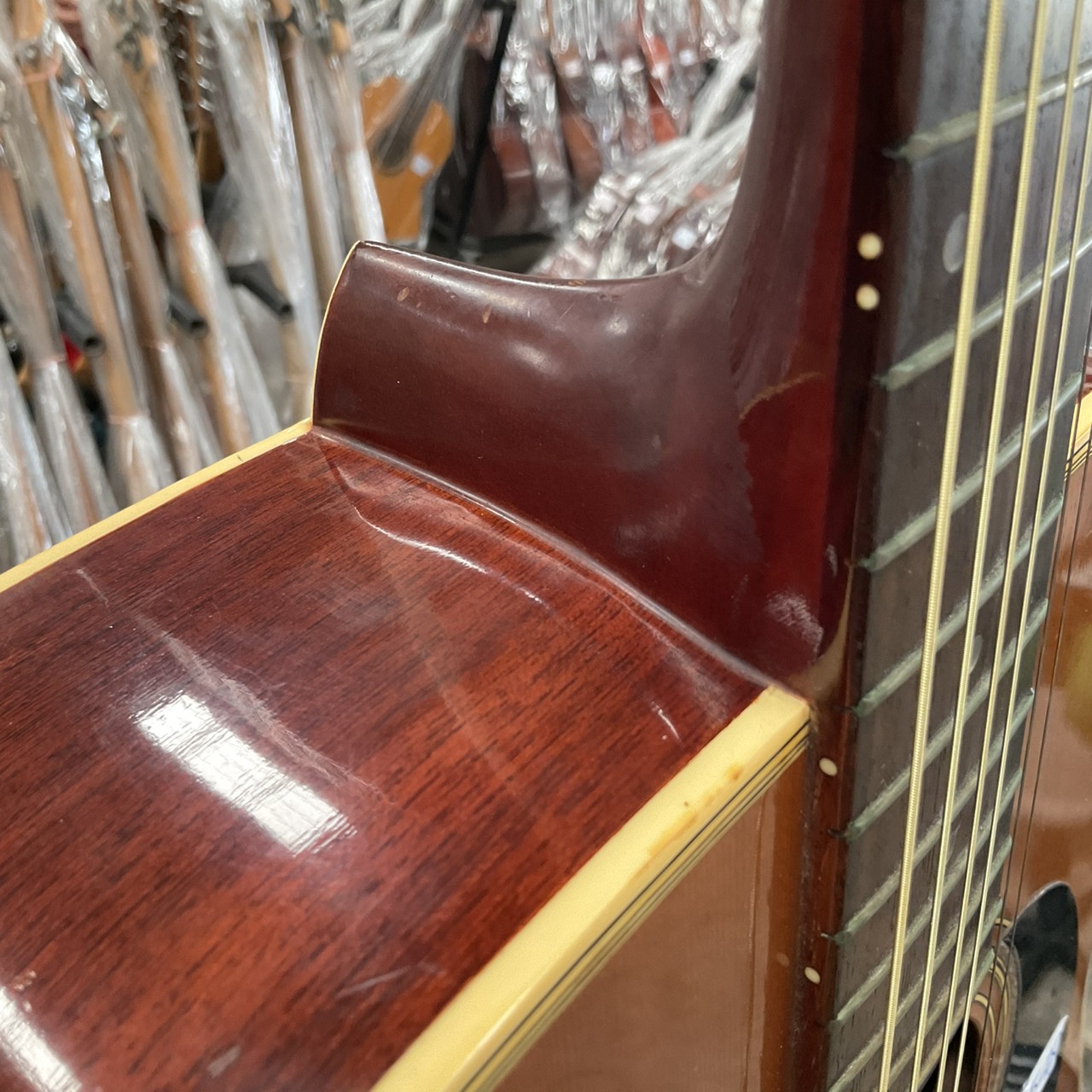 กีต้าร์โปร่ง Morris : W-18