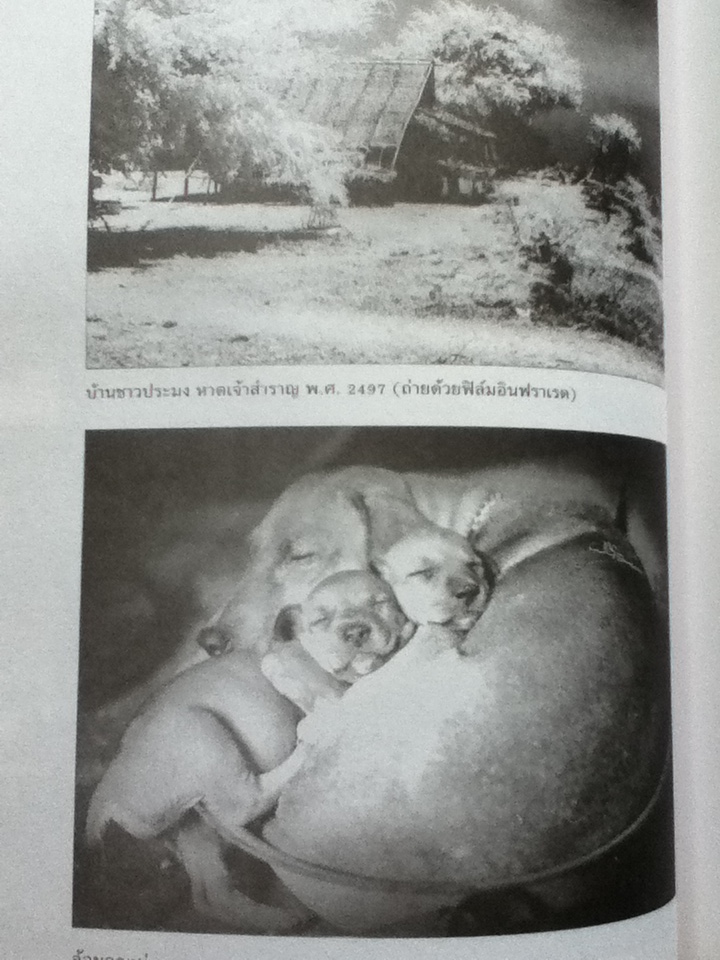 อนุสรณ์ ศาสตราจารย์พูน เกษจำรัส ศิลปินแห่งชาติ สาขาทัศนศิลป์