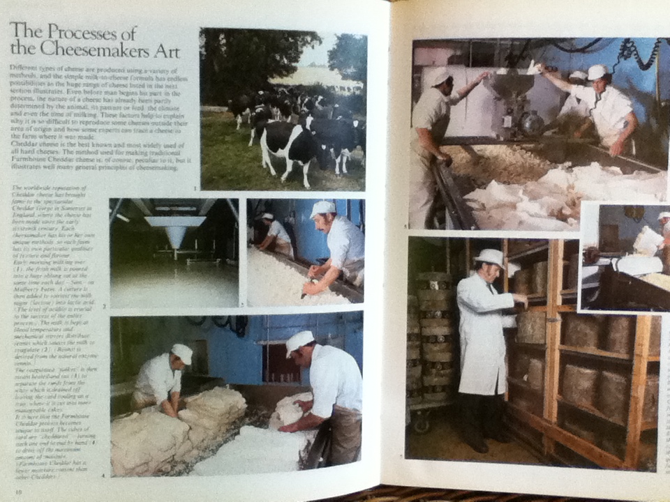 THE REAL CHEESE COOKBOOK/ Edited by Catherine Cravell