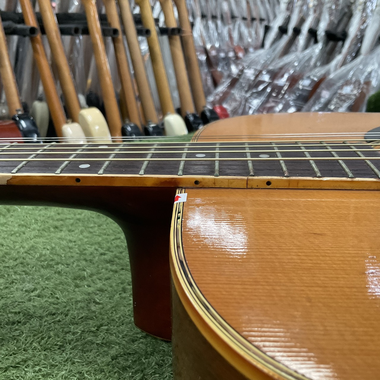 กีต้าร์โปร่ง Morris : W-25