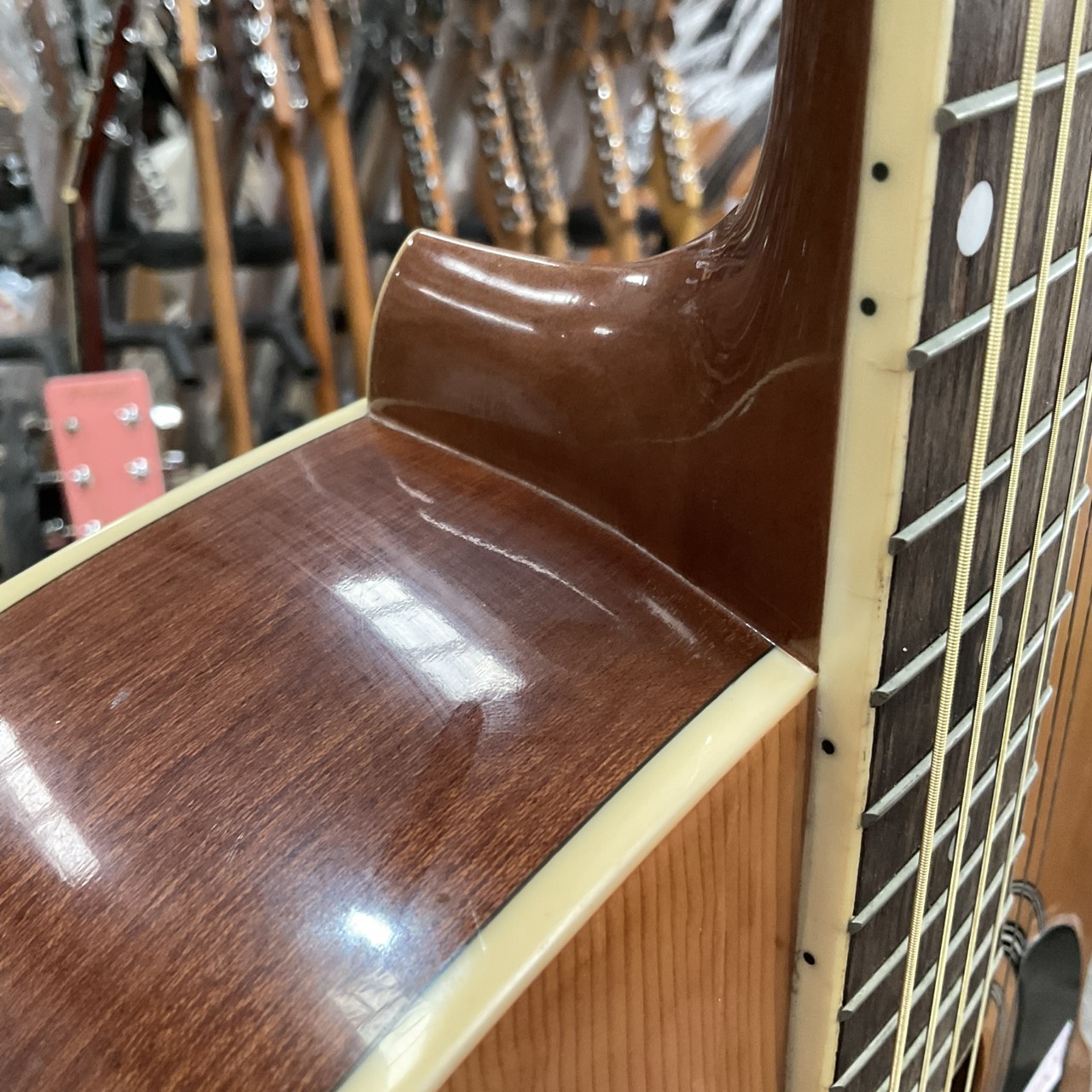 กีต้าร์โปร่ง HONEY BEE : F-15 N