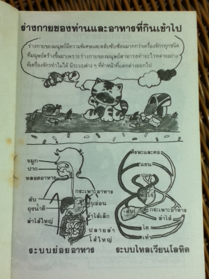 ร่างกายของท่านอาหารที่กินเข้าไปอยู่ที่ไหน (หนังสือแถม)