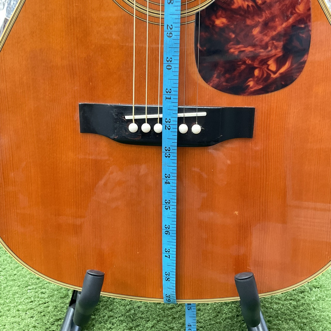 กีต้าร์โปร่ง Morris