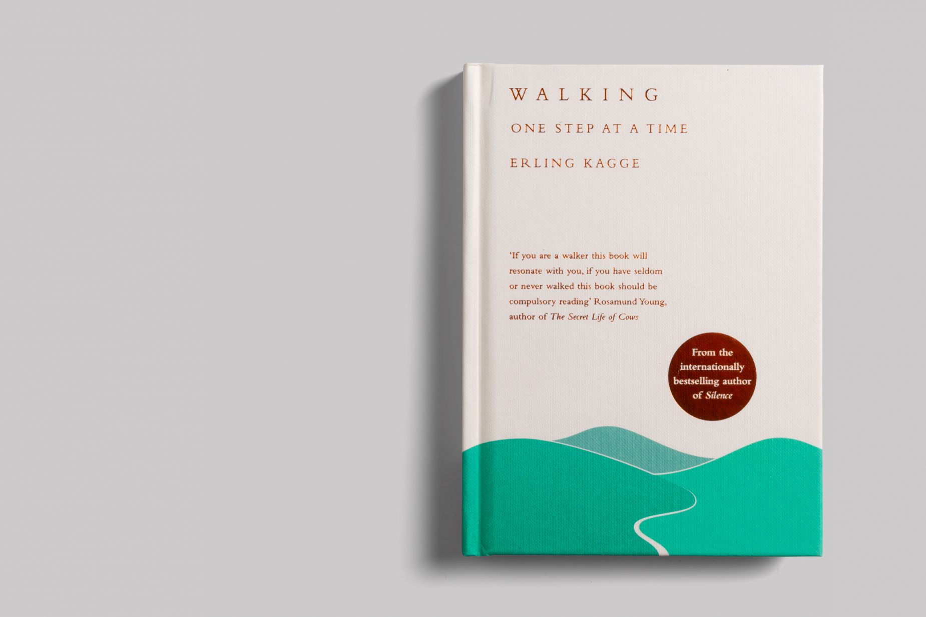 ก้าวเดิน (Walking)