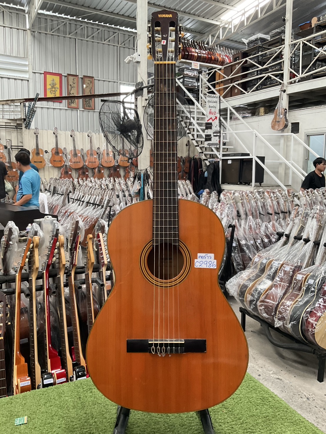 กีต้าร์คลาสสิค YAMAHA : G-50