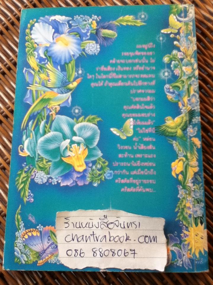 จอมใจเจ้าทะเลทราย/ เอ็มมา ดาร์ซี