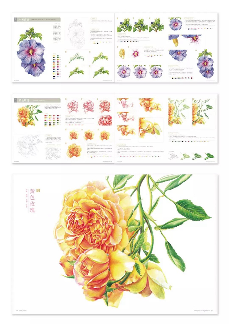 (Pre-order) หนังสือ Color pencil drawing of flowers
