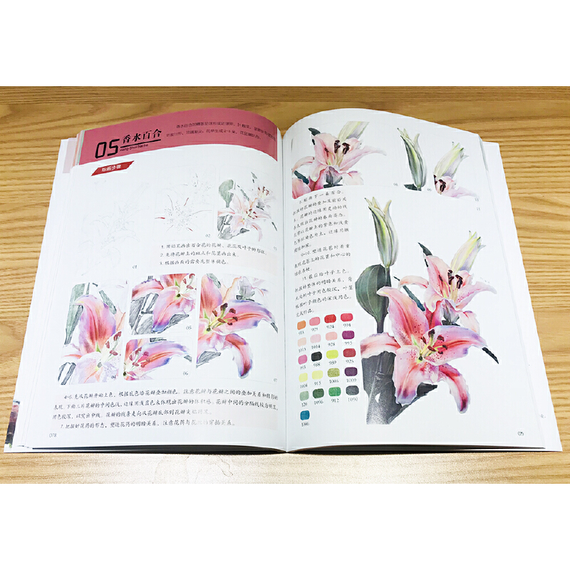 (Pre-order) หนังสือระบายสีไม้ภาพวาดทั่วไปตั้งแต่ระดับเริ่มต้นจนถึงเชี่ยวชาญ