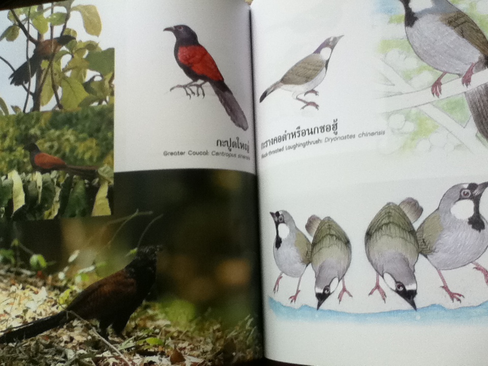 พรรณไม้ และ ปักษาพรรณ ในอุทยานจามจุรี 2เล่ม/ชุด พร้อมกล่องบรรจุ