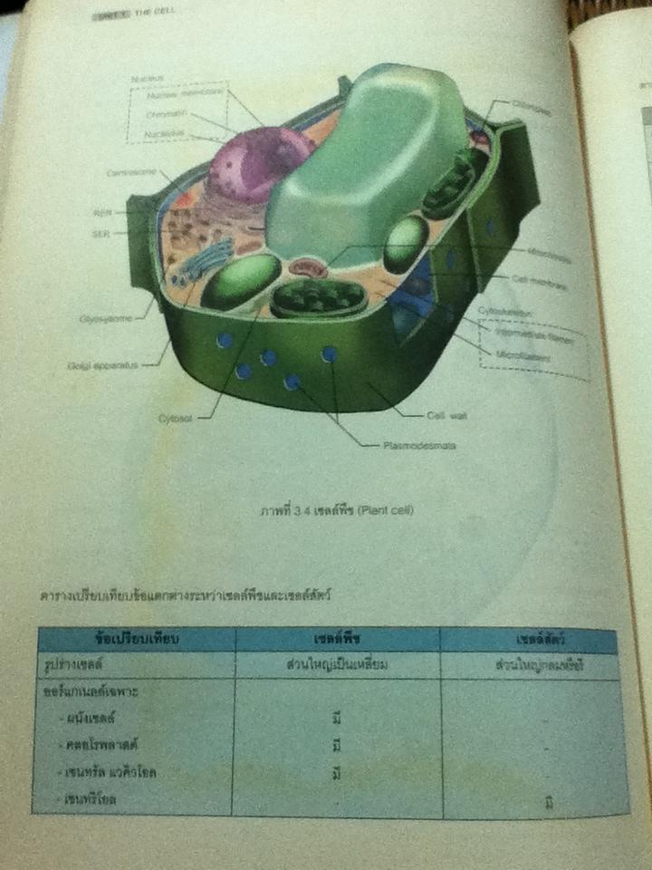 BIOLOGY I/ ธนกร อรรจนาวัฒน์