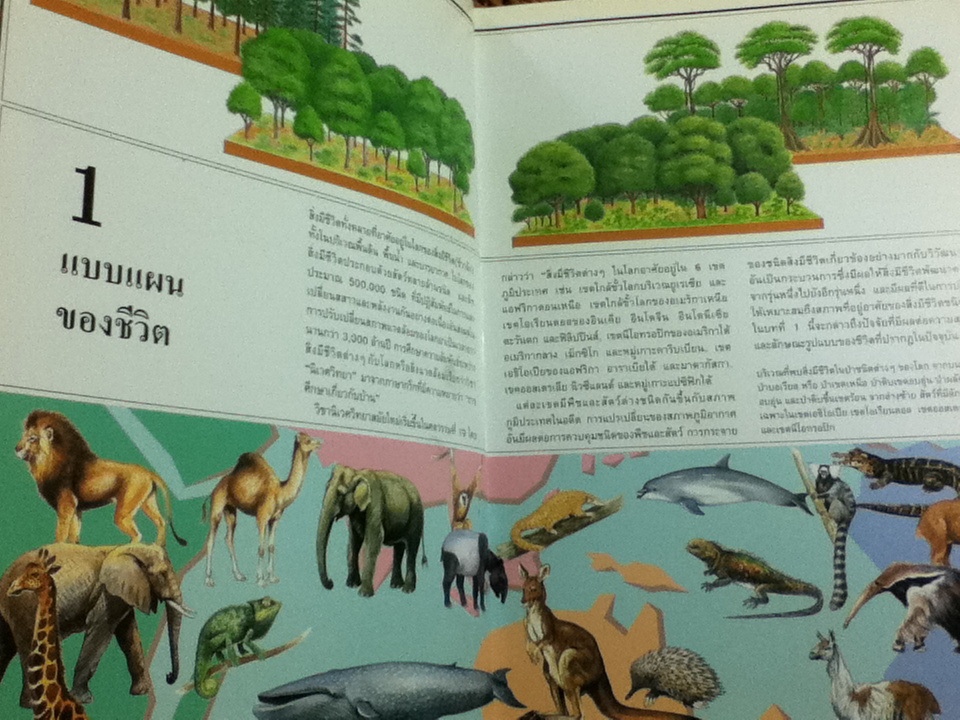 นิเวศวิทยาและสิ่งแวดล้อม หนังสือชุดขุมทรัพย์โลกวิทยาศาสตร์ (ปกแข็ง)/ ไทม์-ไลฟ์/ ผู้ช่วย ศจ.นันทนา คชเสนี ผู้แปล