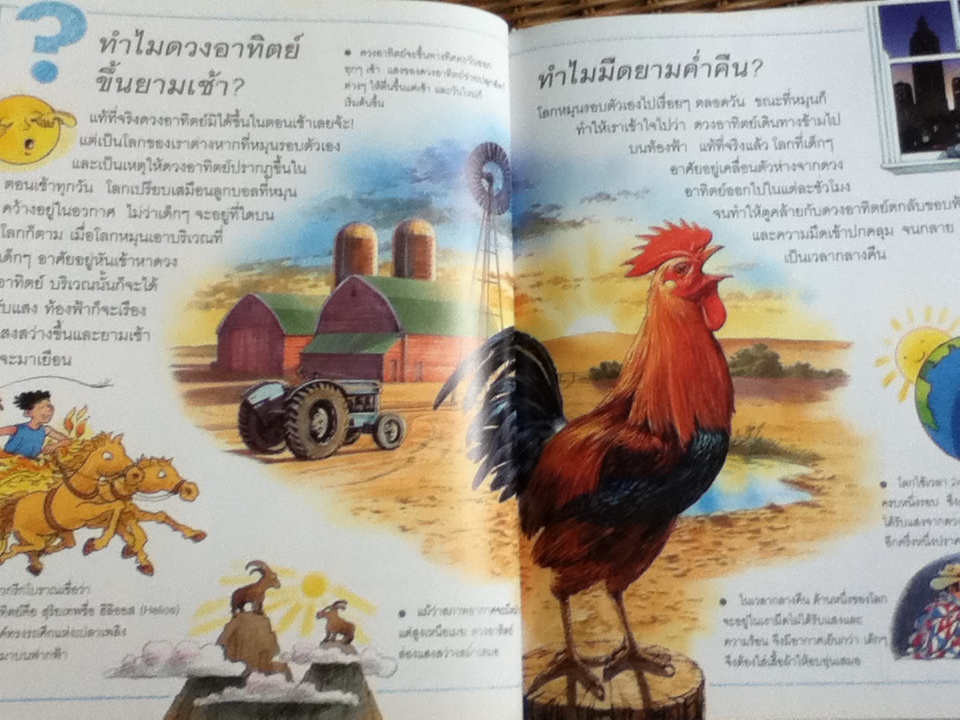 หนังสือชุด เด็กๆ รู้ไหม ทำไม (24เล่ม/ชุด)