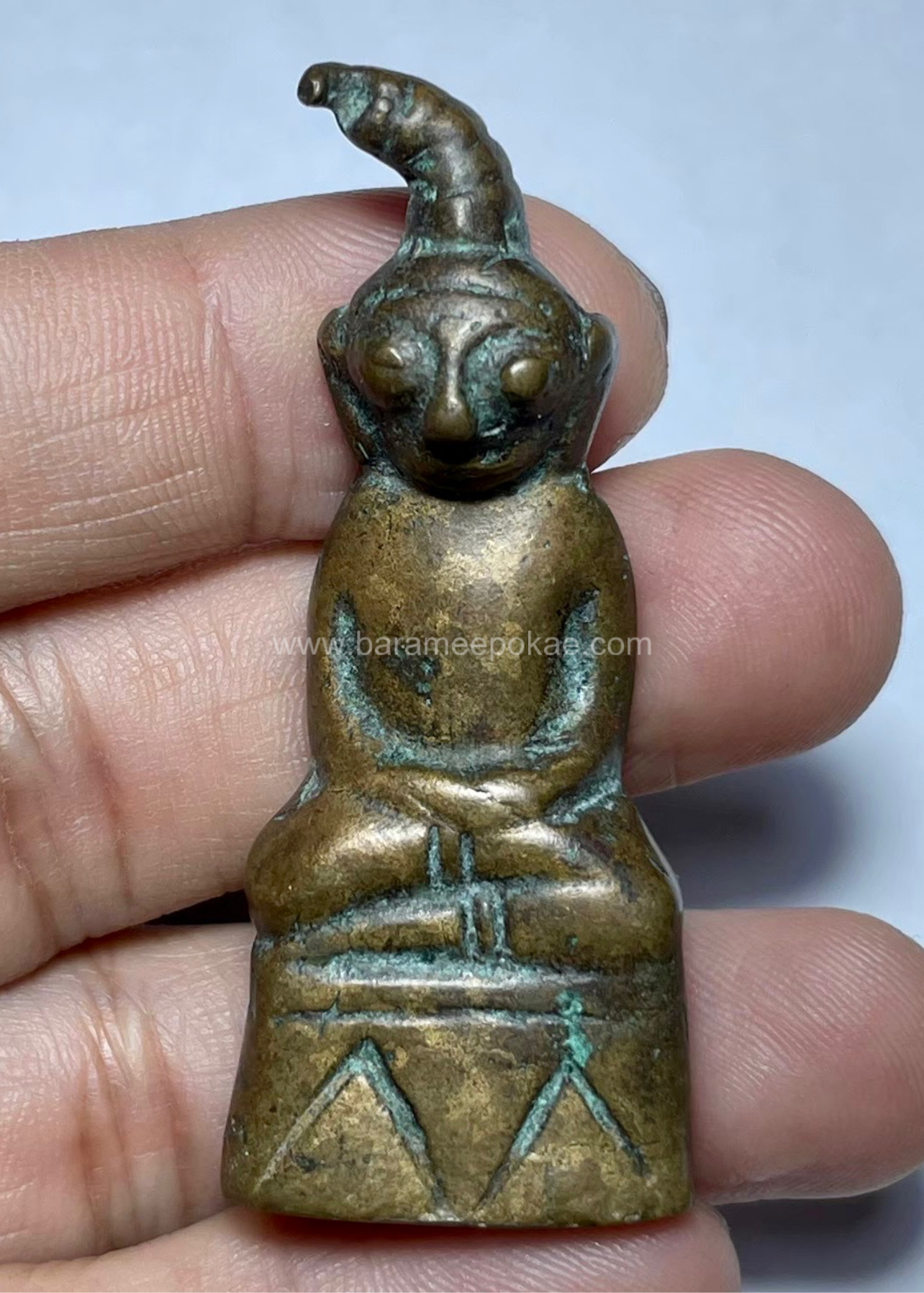 งั่งตาตั๊กแตน Grasshopper-Eyed Ngang. SKU-03754