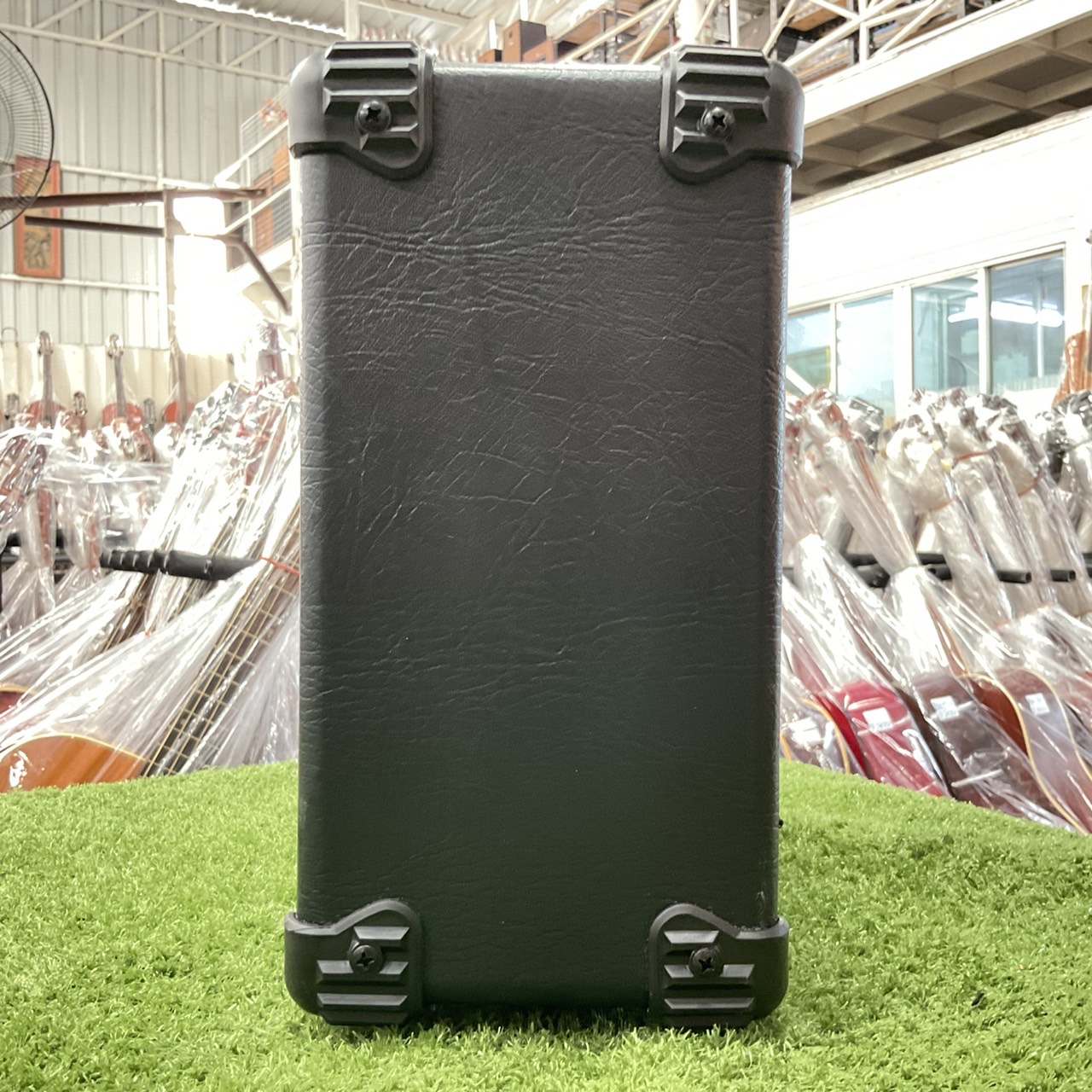 แอมป์เบส Aria Pro II : AB-10 Mk II