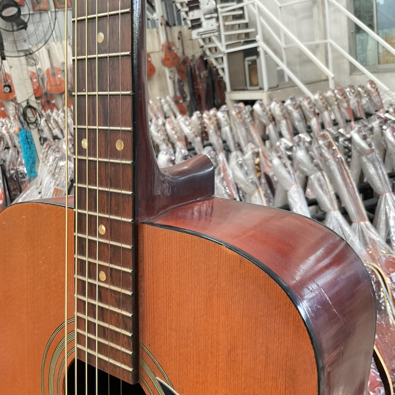 กีต้าร์โปร่ง Muse