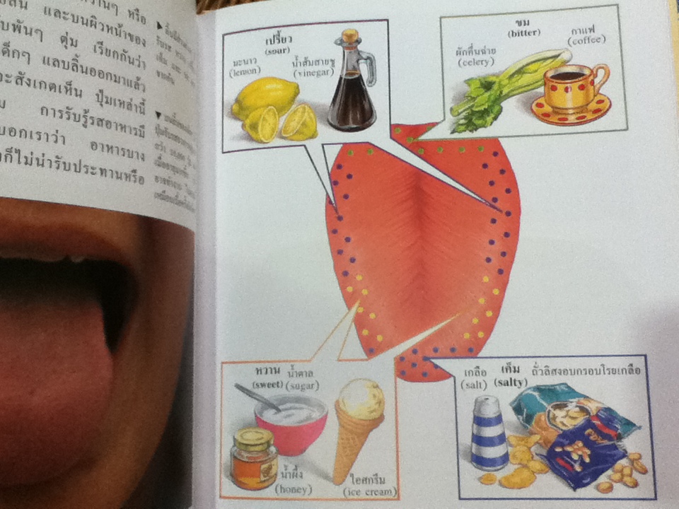 FIRST STARTS ชุดร่างกายของเรา 3เล่ม การกินอาหาร, การเคลื่อนไหว, การเกิด และการเจริญเติบโต