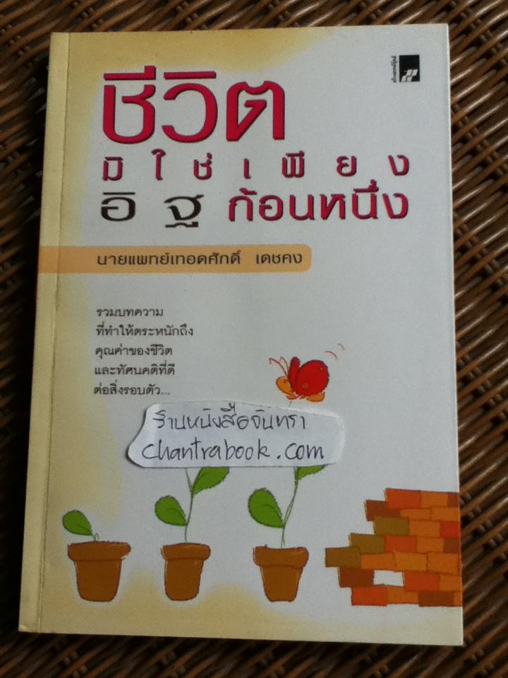 ชีวิตมิใช่เพียงอิฐก้อนหนึ่ง/ นพ.เทอดศักดิ์ เดชคง