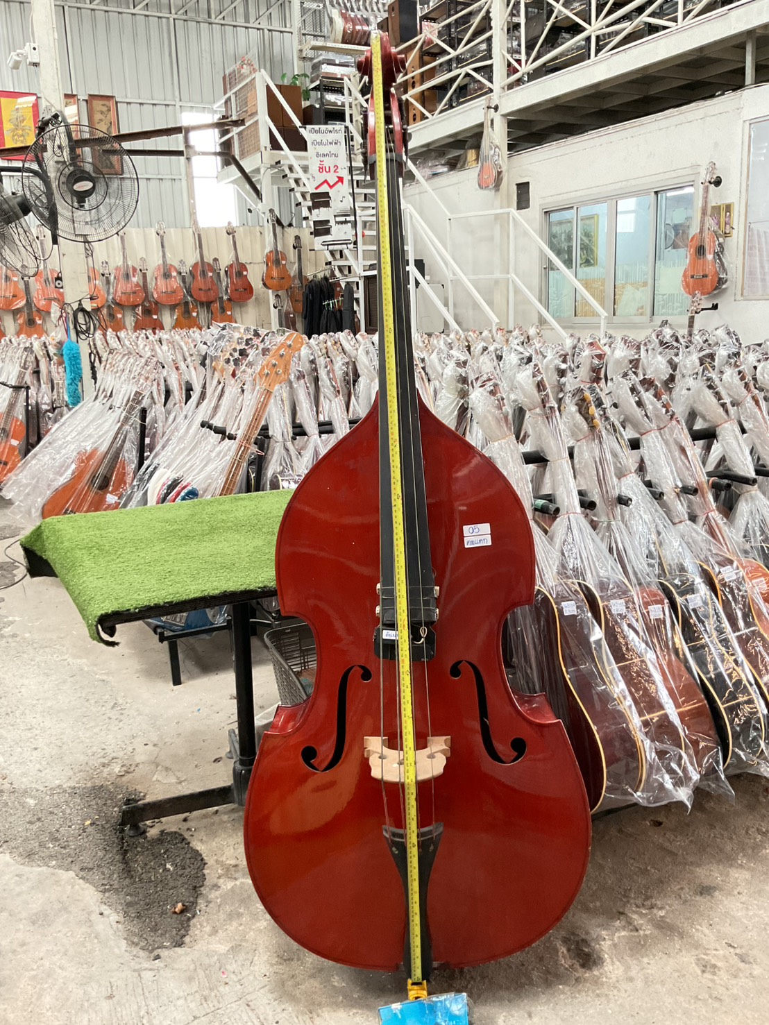 ไวโอลิน Double Bass