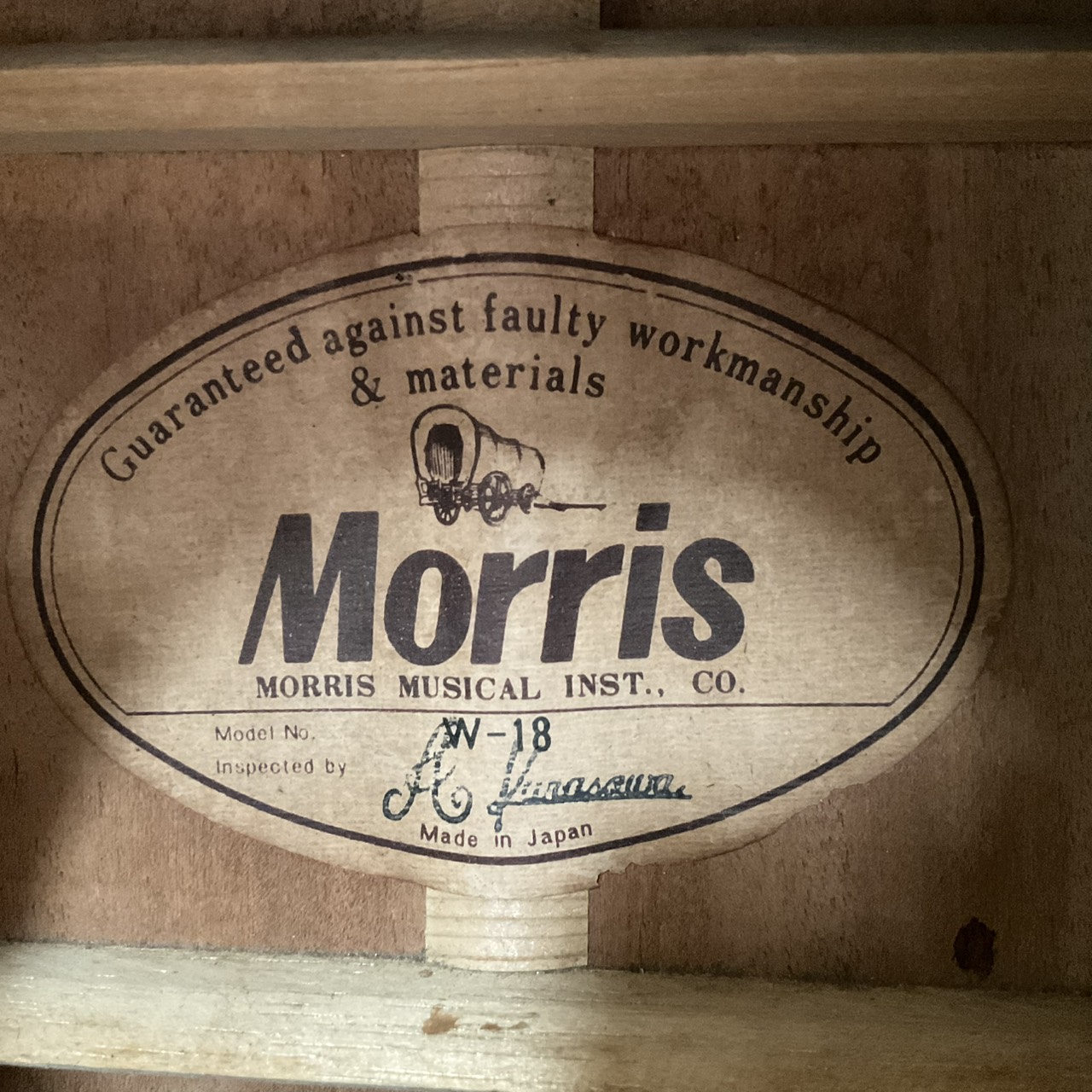 กีต้าร์โปร่ง Morris : W-18