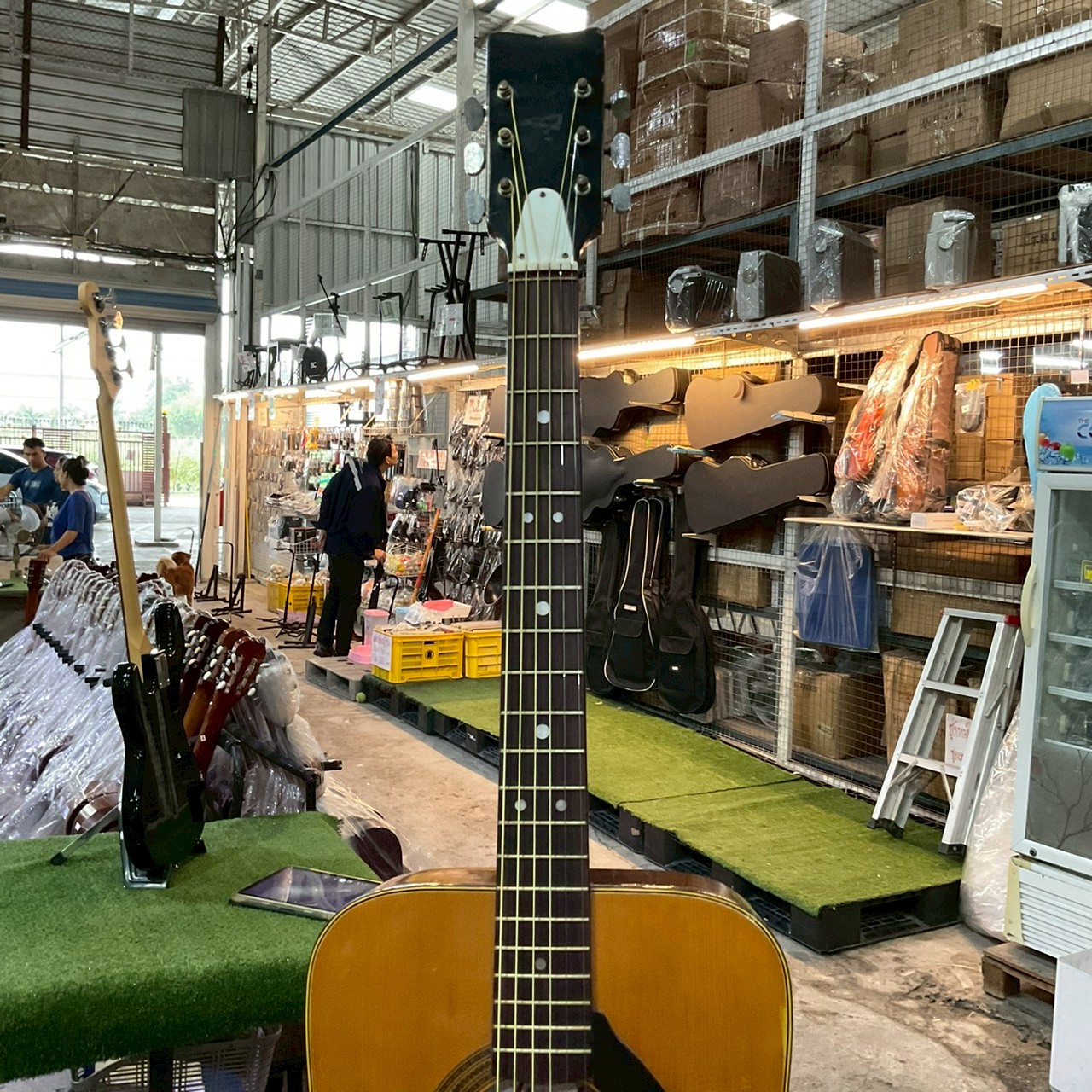 กีต้าร์โปร่ง Maruha : No.617