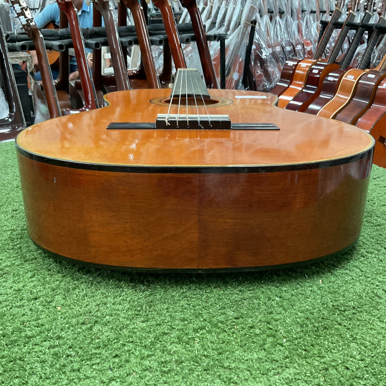 กีต้าร์คลาสสิค Frister : G