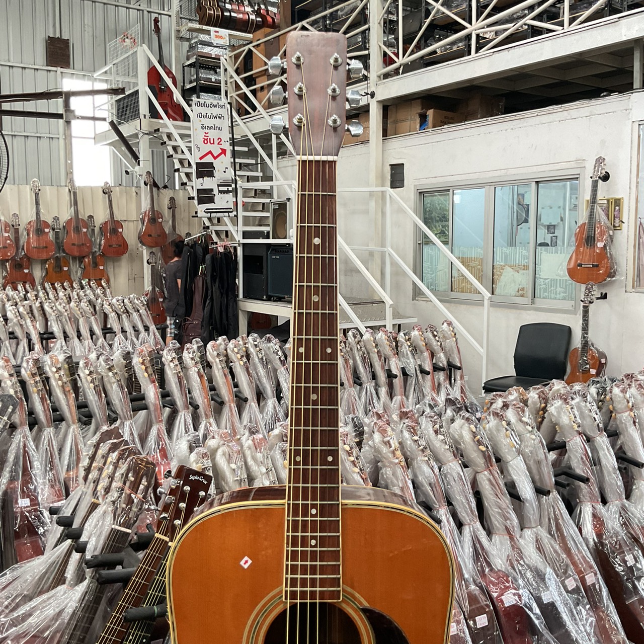 กีต้าร์โปร่ง MORRIS : SPECIAL