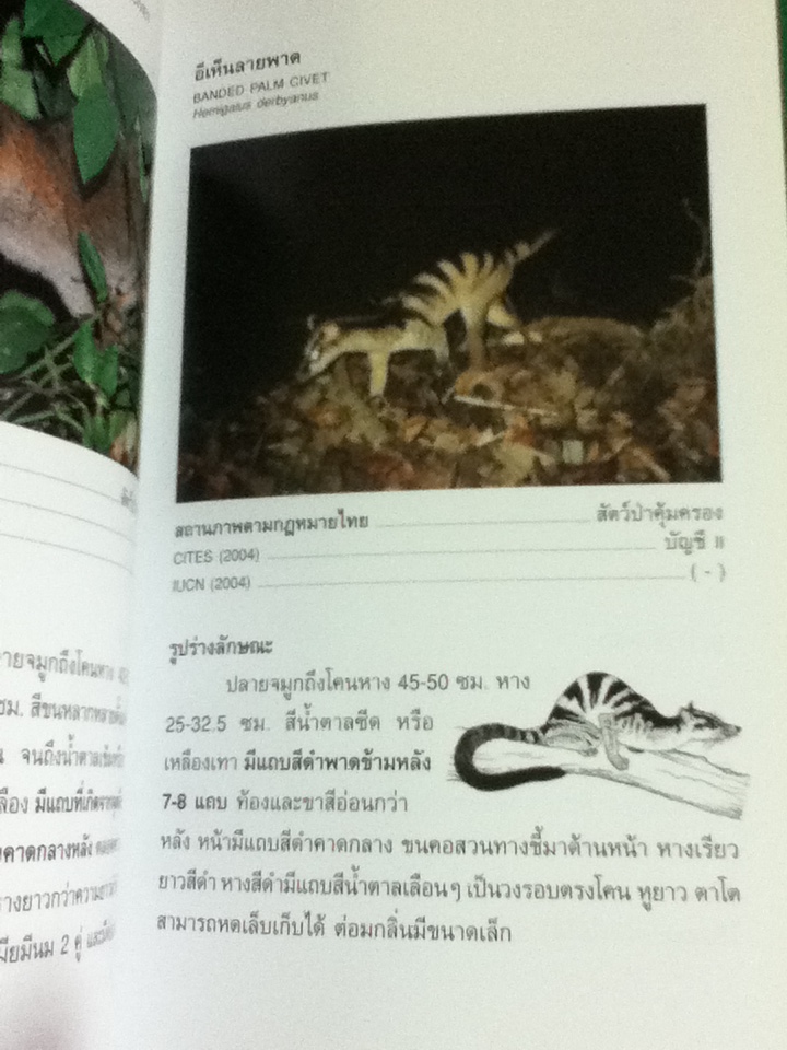 คู่มือจำแนกสัตว์ป่า เพื่องานป้องกัน และปราบปรามการลักลอบค้าสัตว์ป่า