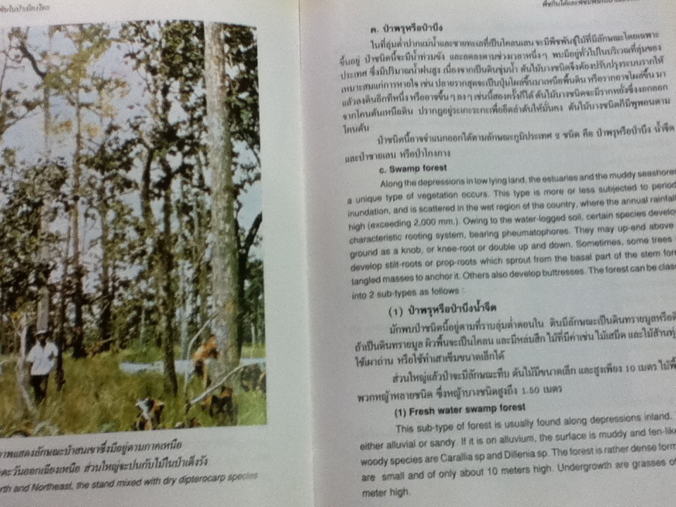 พืชกินได้และพืชมีพิในษป่าเมืองไทย (2 ภาษา ไทย-อังกฤษ)/ สมจิตร พงศ์พงัน, สุภาพ ภู่ประเสริฐ