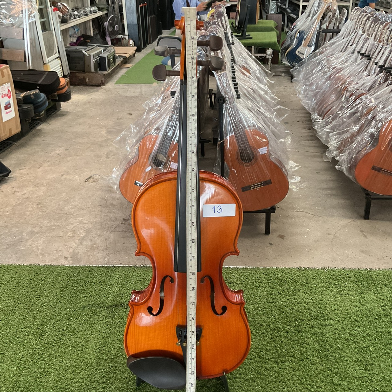 ไวโอลิน Stentor : RO69423