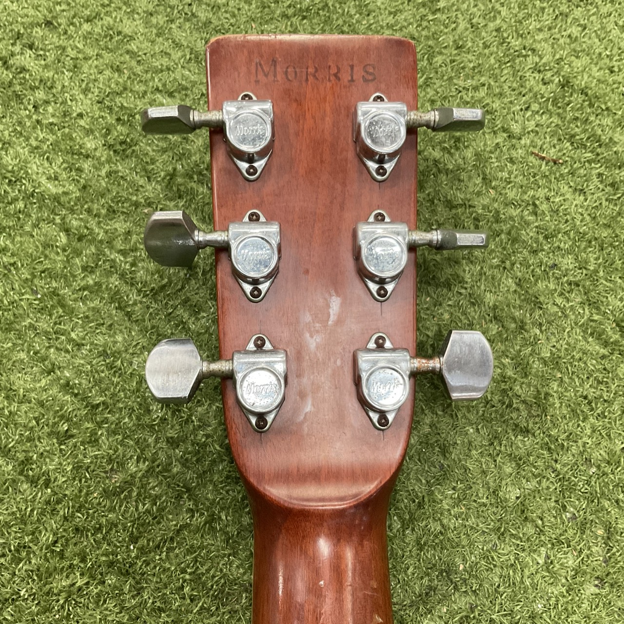 กีต้าร์โปร่ง Morris : W-25