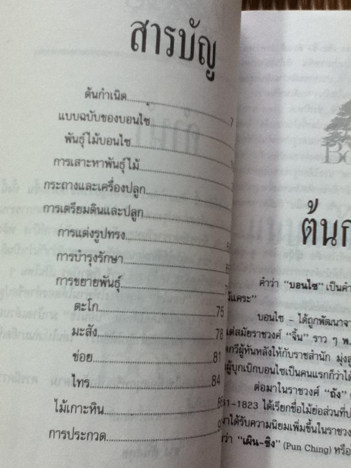 บอนไซ/ ชาง ตันสกุล