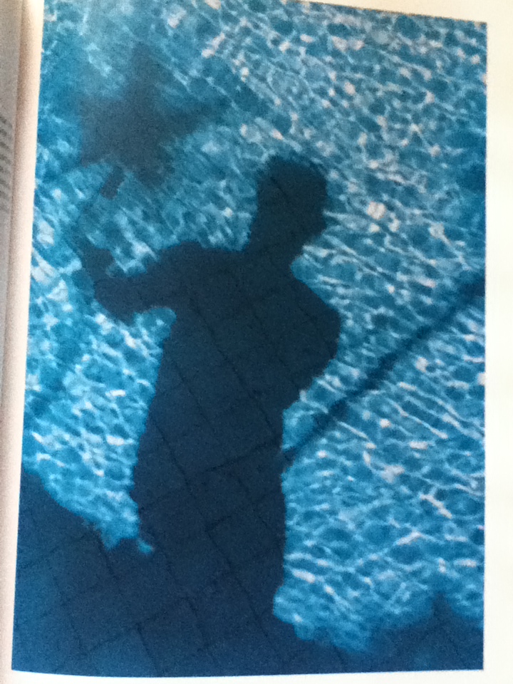 ภาพถ่ายฝีพระหัตถ์พระบาทสมเด็จพระเจ้าอยู่หัว พิมพ์เนื่องในวโรกาสพระราชพิธีมหามงคลเฉลิมพระชนมพรรษา 5 รอบ และพระราชพิธีรัชมังคลาภิเษก