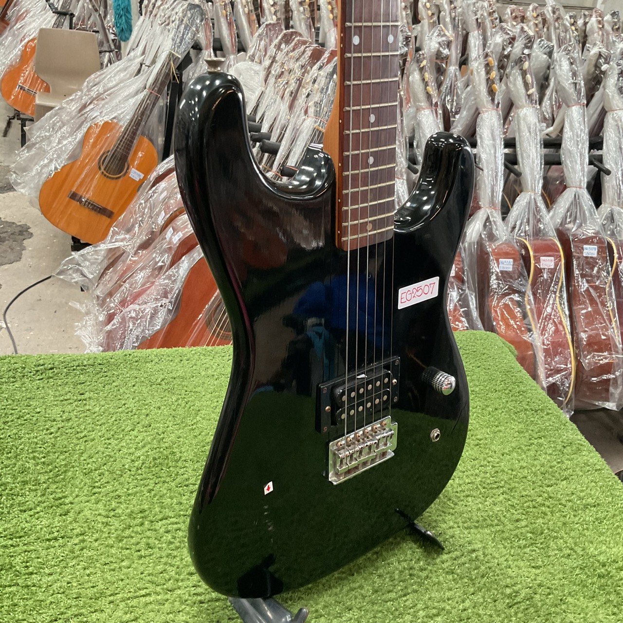 กีต้าร์ไฟฟ้า Ganion