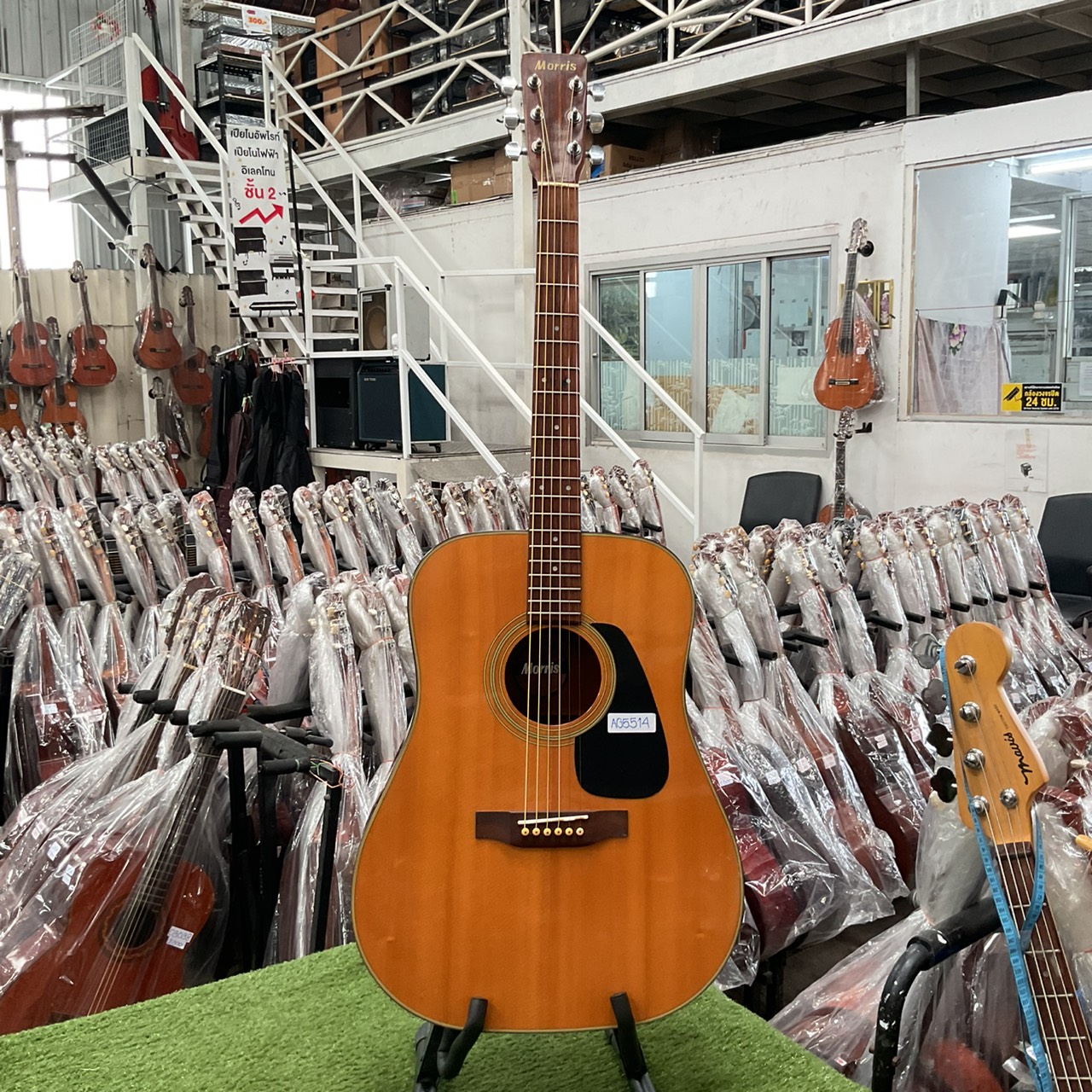 กีต้าร์โปร่ง Morris : MD-503