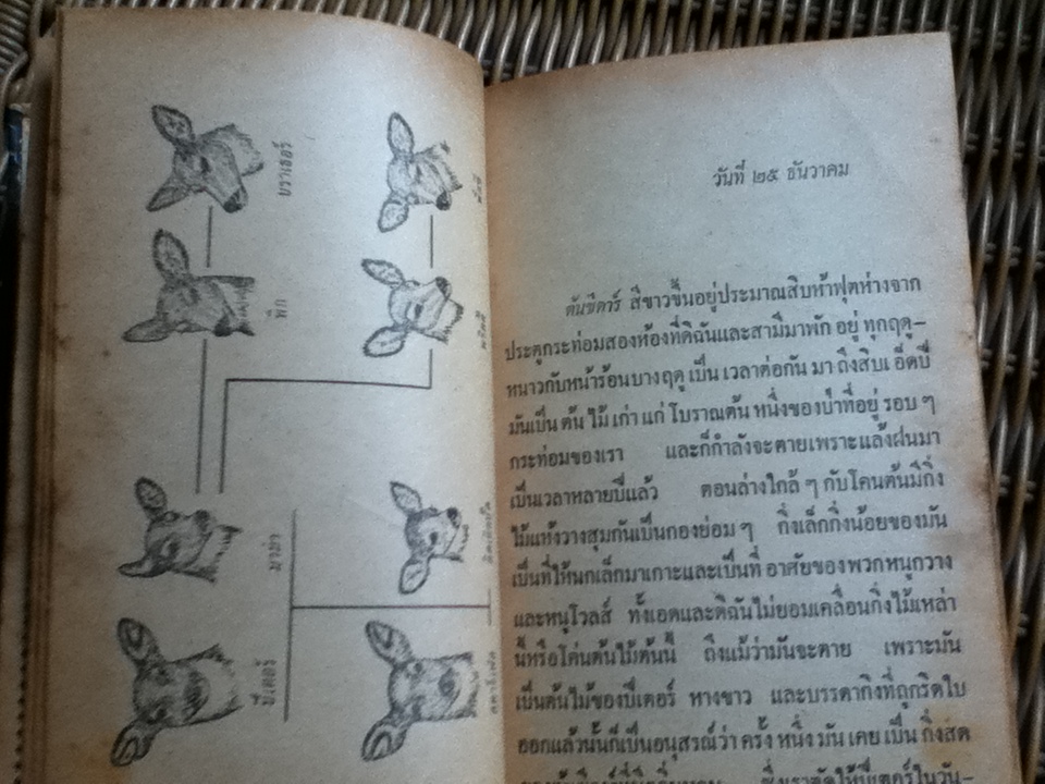 ของขวัญจากกวาง/ เฮเลน ฮูเวอร์/ ทรรศนียา กัลยาณมิตร ผู้แปล