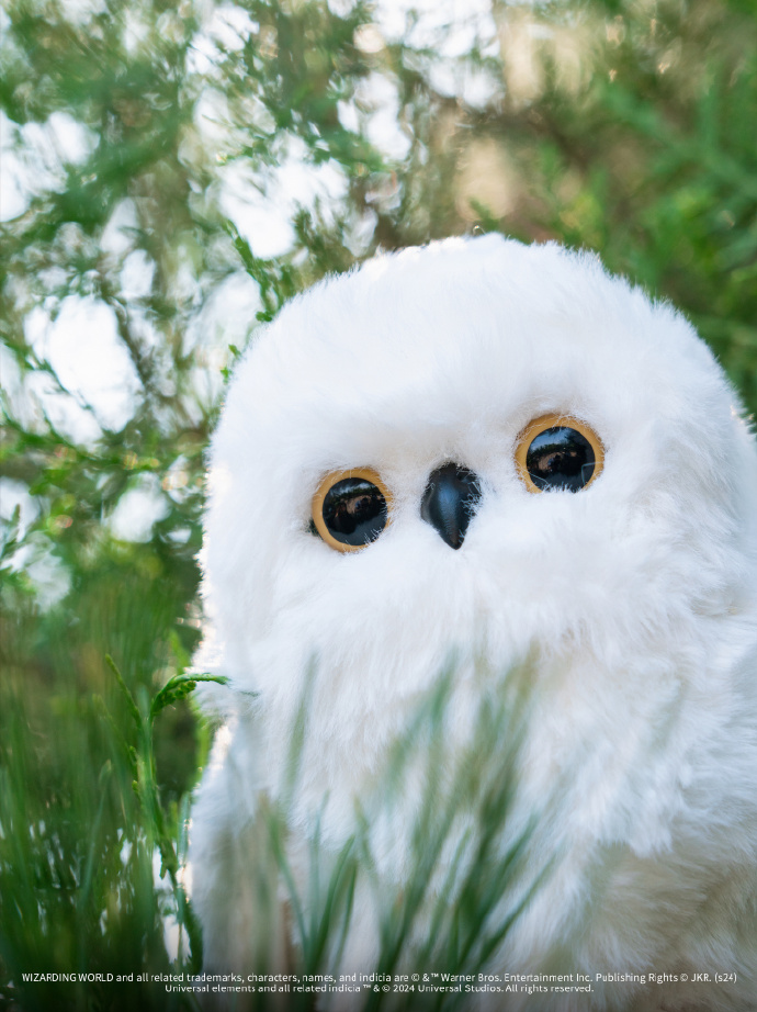 [Pre-Order] Harry Potter Snow owl Universal Studios Beijing นกฮูกแฮร์รี่ โต้ตอบได้