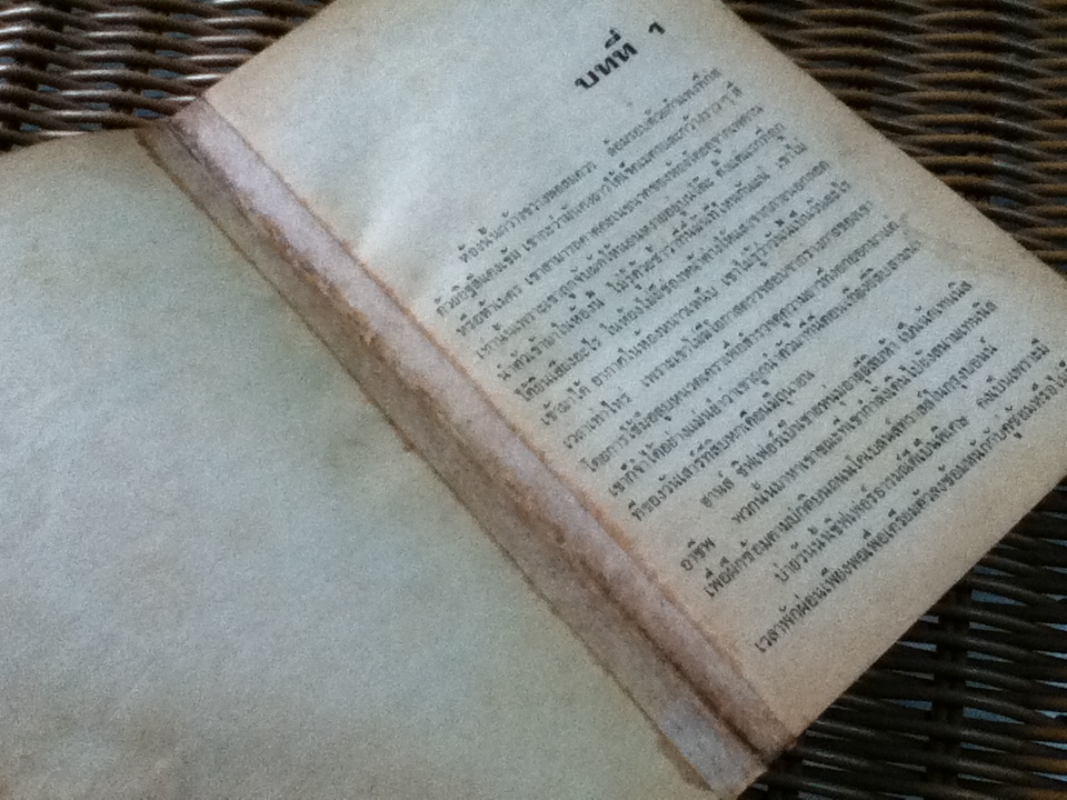 แผนพิฆาตบลูพรินท์/ Philippe Van Rjndt