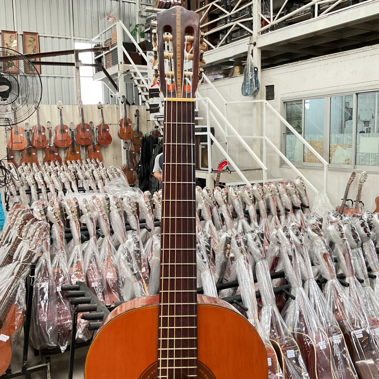 กีต้าร์คลาสสิค 鈴木 (Suzuki) : 34R