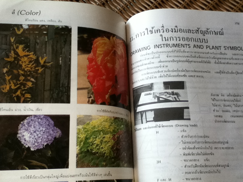 หลักการจัดสวนเบื้องต้น/ เอื้อมพร วีสมหมาย
