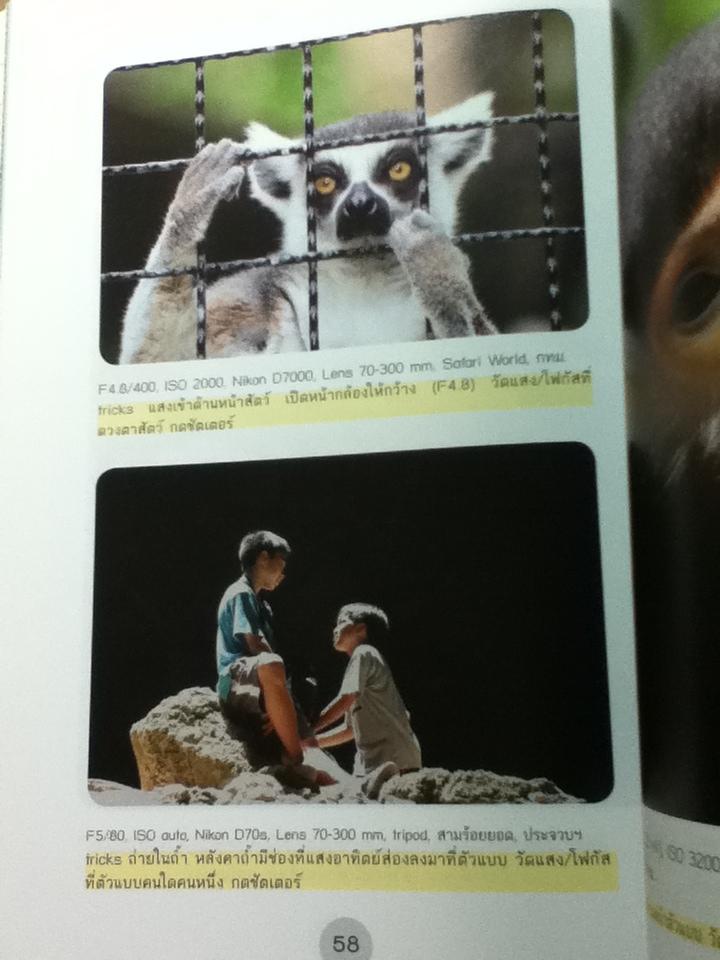 จับจังหวะถ่ายภาพให้มี feeling คุณทำได้!/ ตระกูลวัฒนา ณ เชียงใหม่