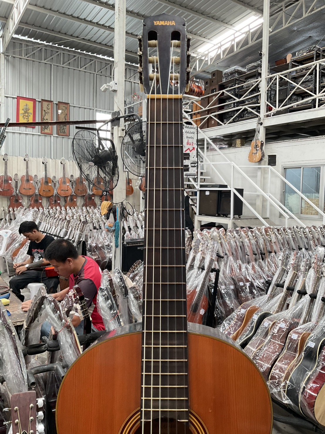 กีต้าร์คลาสสิค YAMAHA : G-50