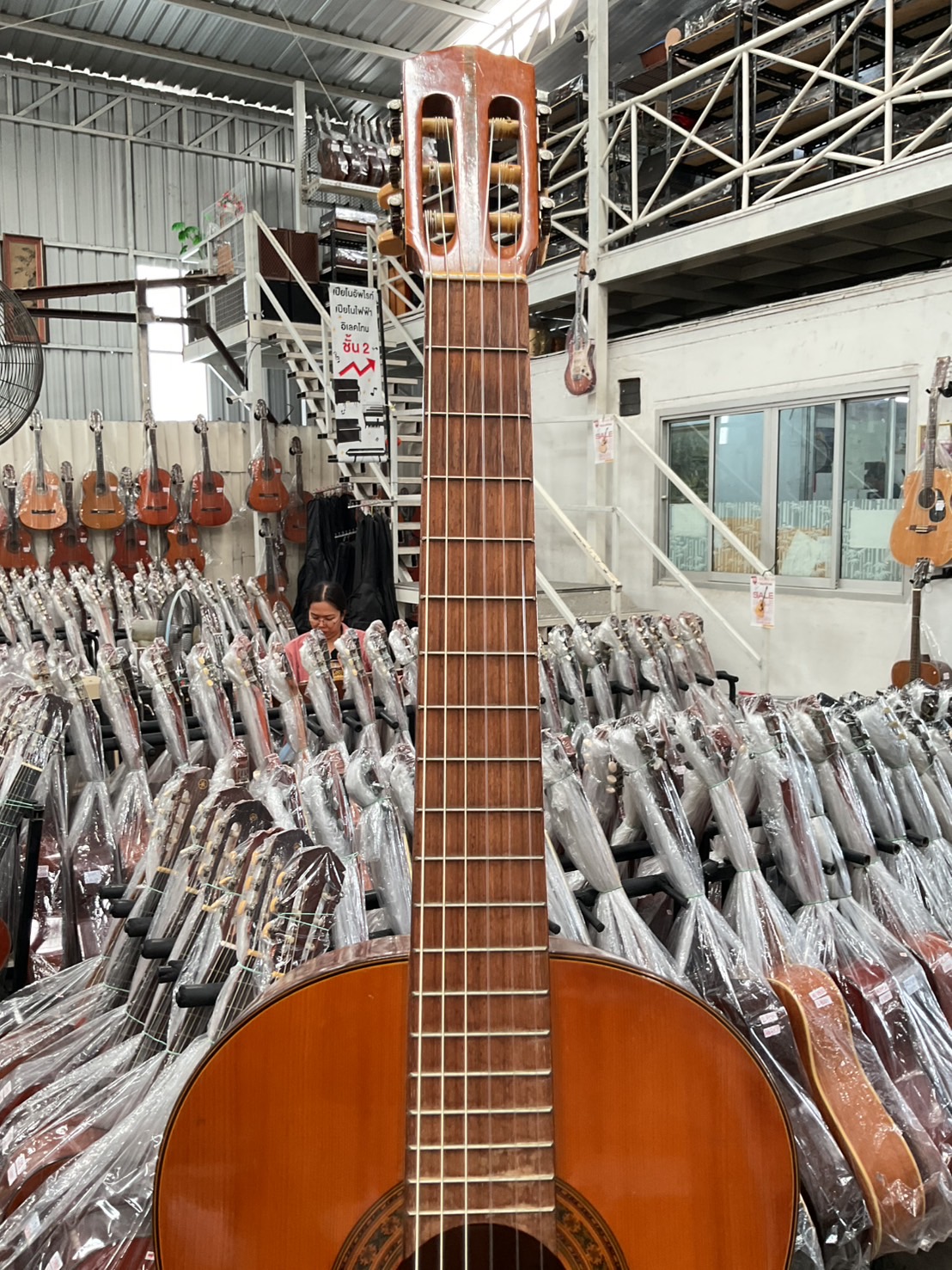 กีต้าร์คลาสสิค Zen-on Gut : No.50