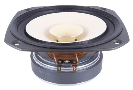 Fostex FE166En 6.5" full range